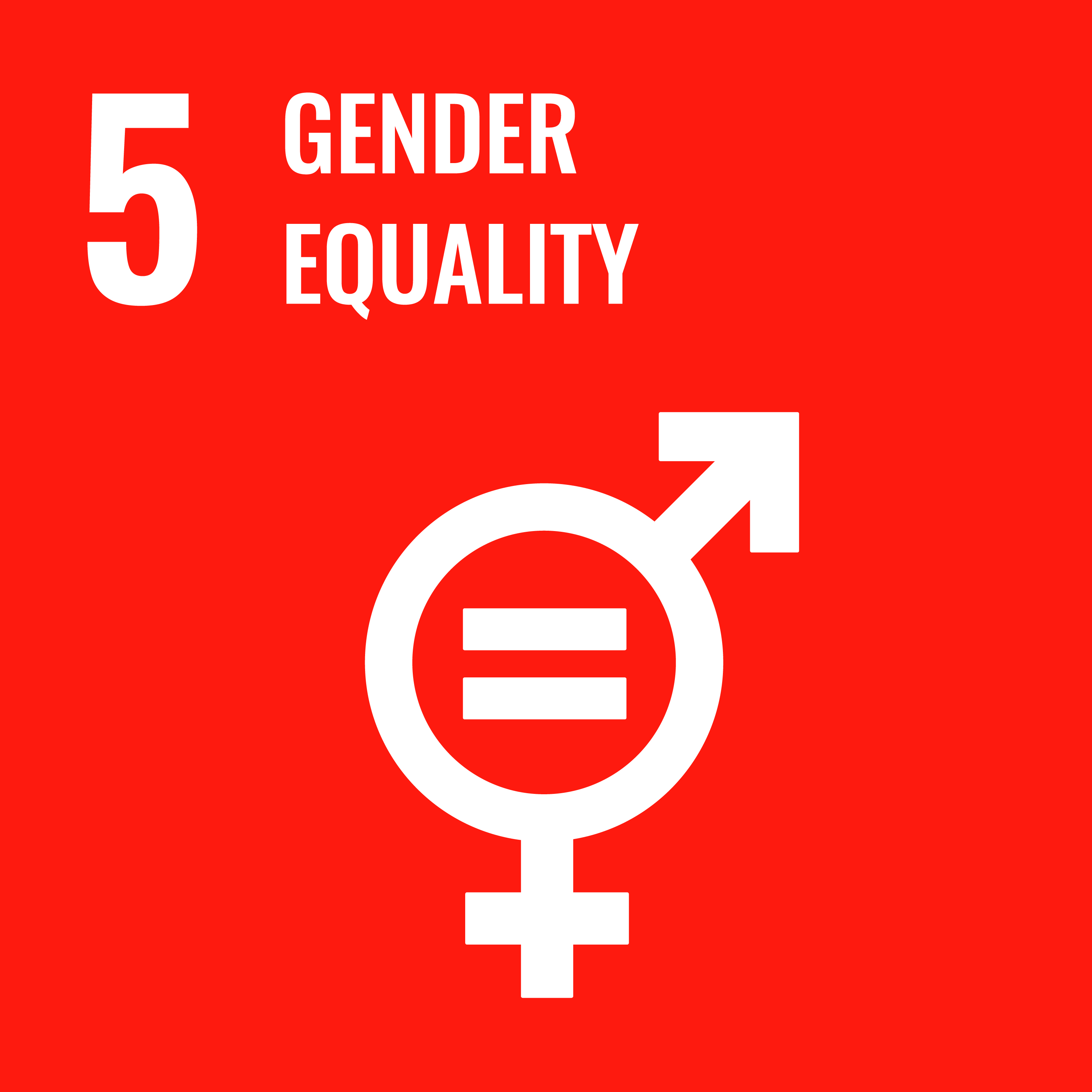 5 Gender Equality (United Nations)