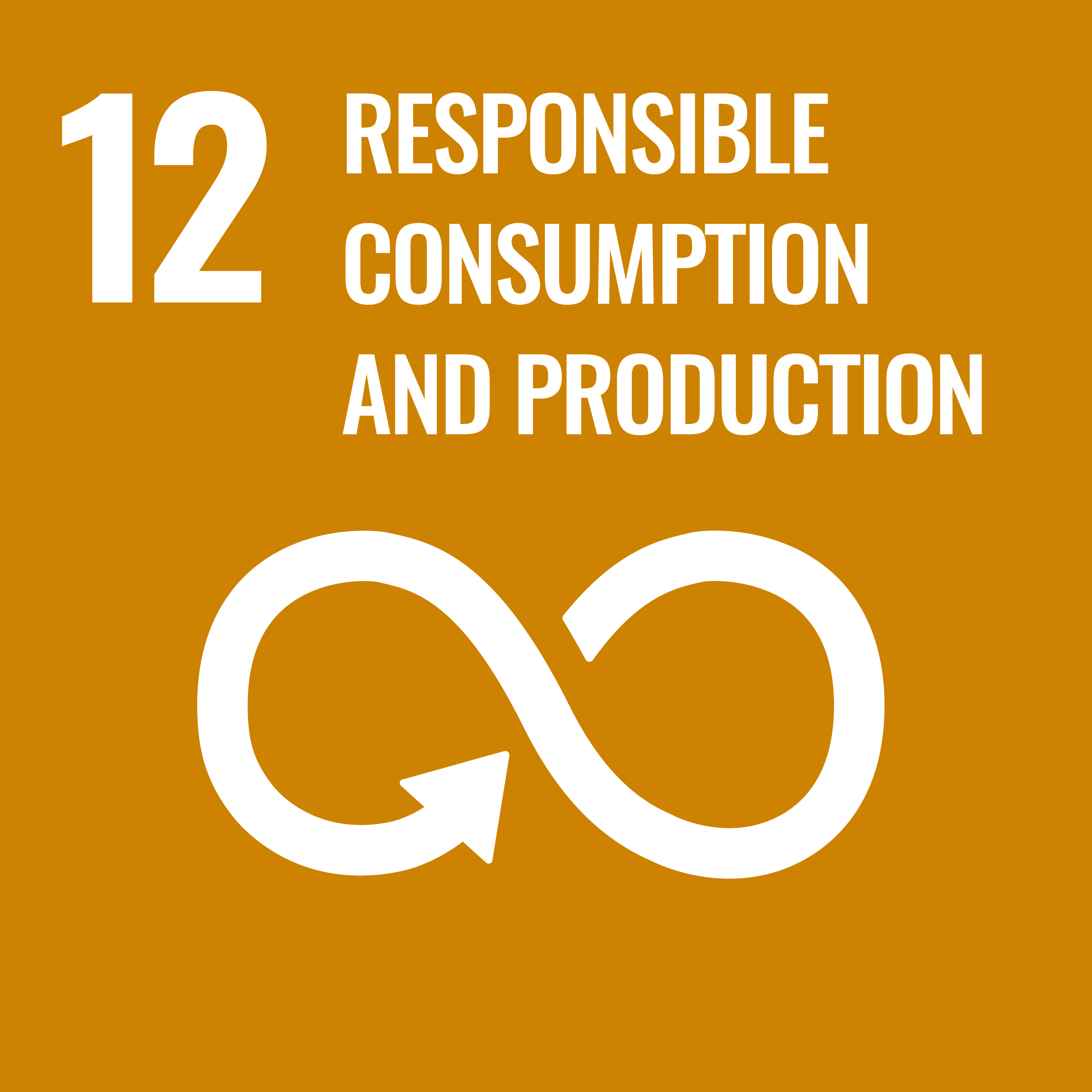 12 Responsible Consumption and Production (United Nations)