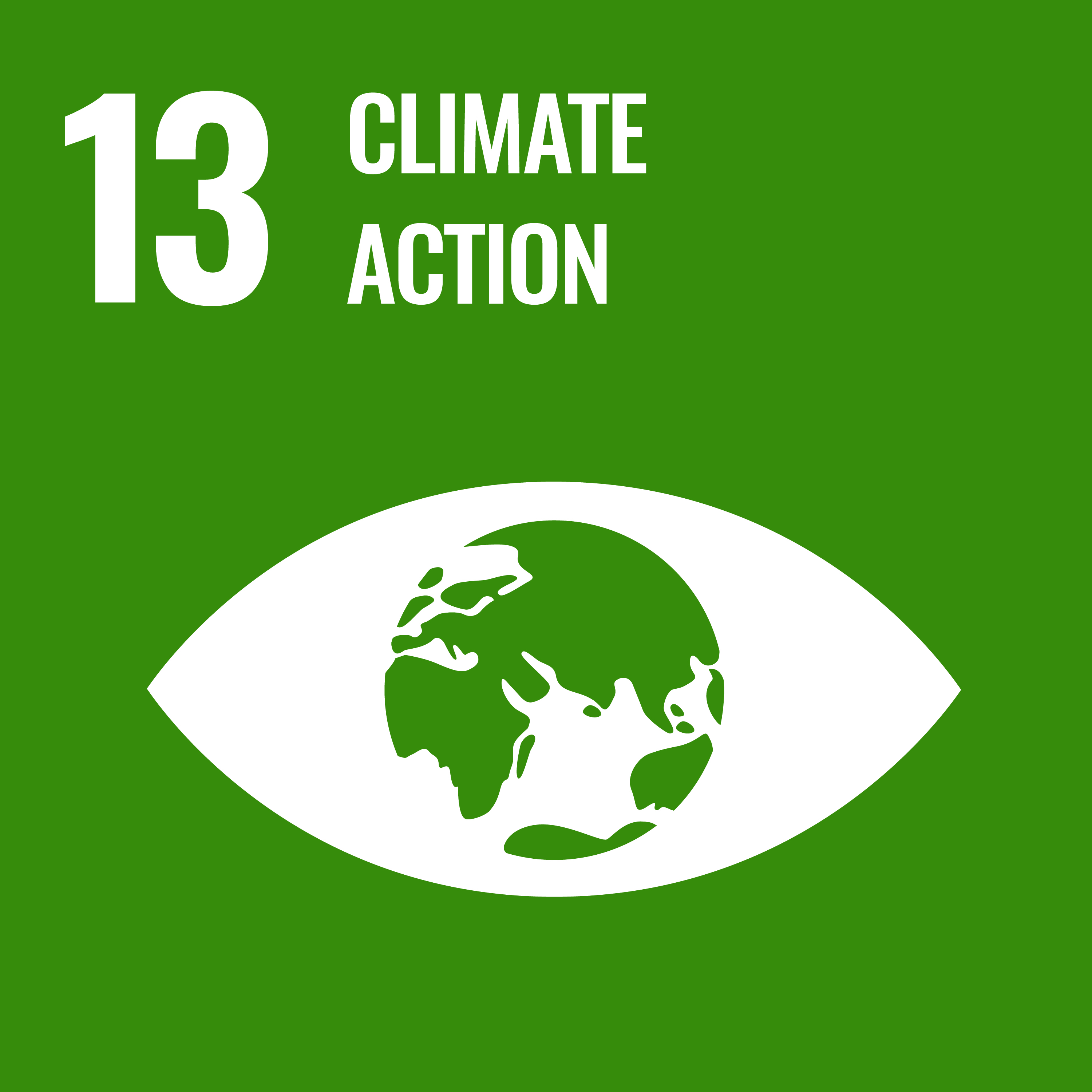 13 Climate Action (United Nations)