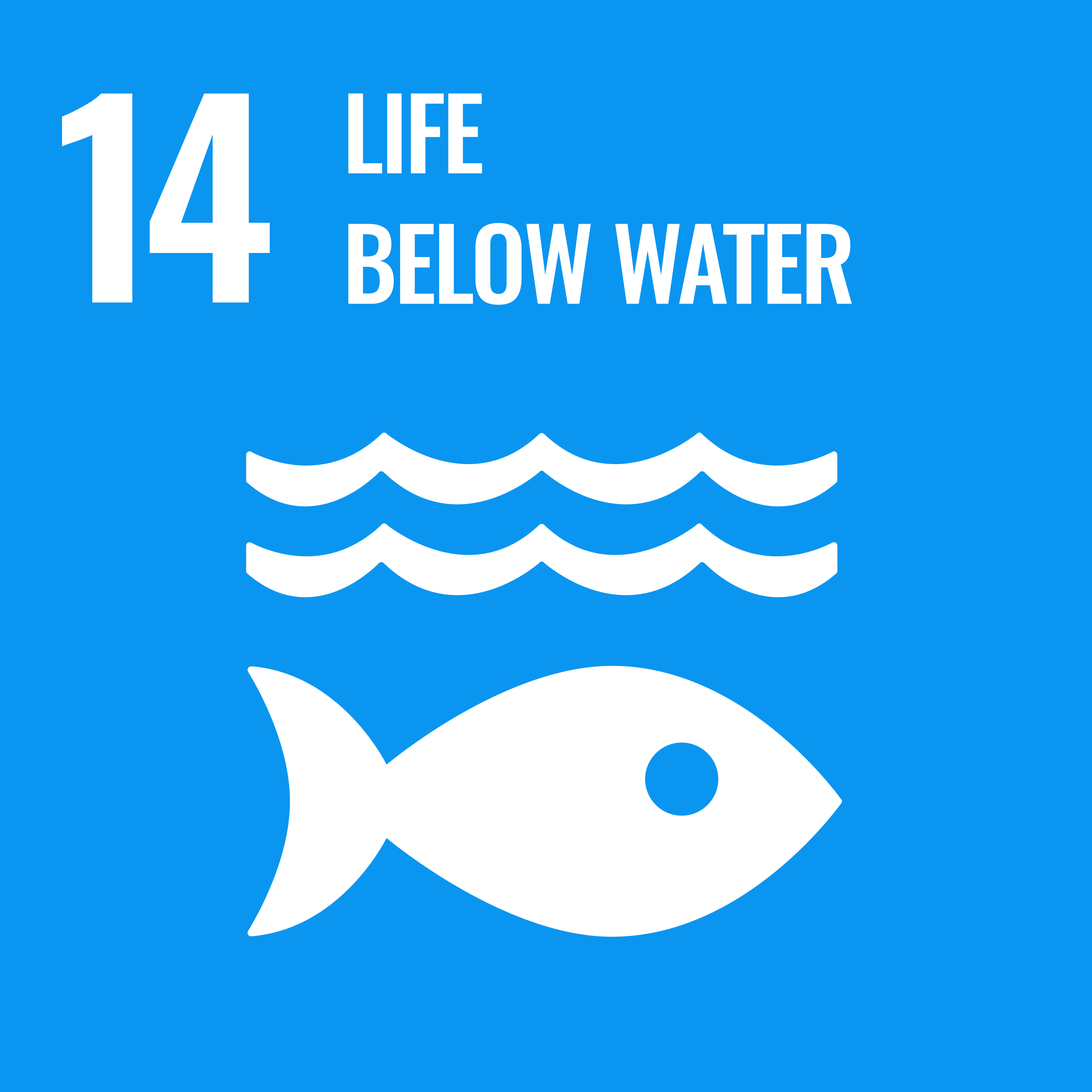 14 Life Below Water (United Nations)