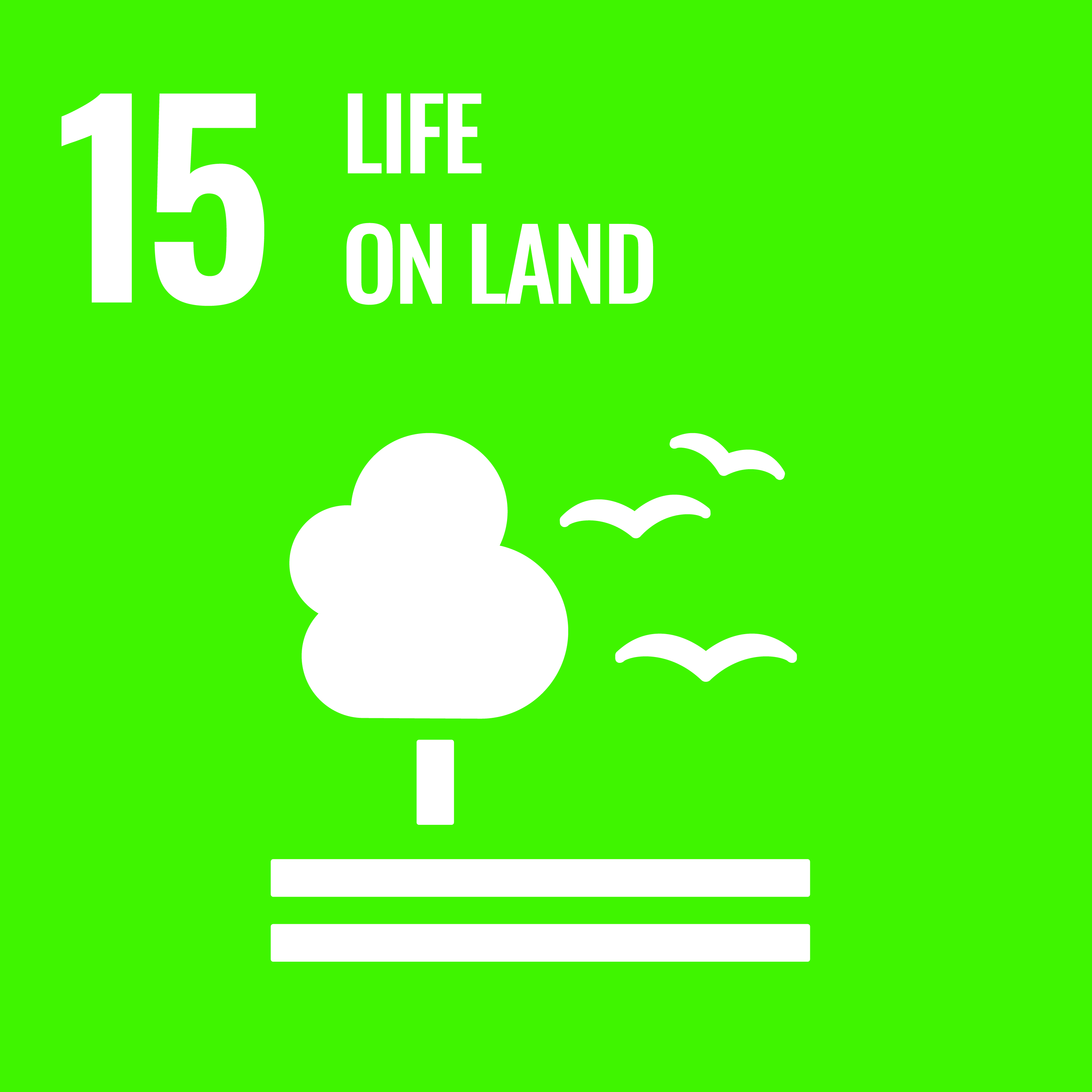 15 Life On Land (United Nations)